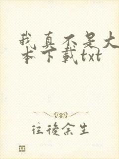 我真不是大佬全本下载txt