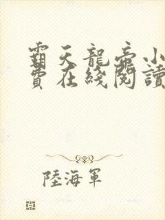 霸天龙帝小说免费在线阅读