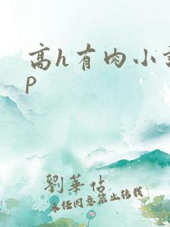 高h有肉小说np