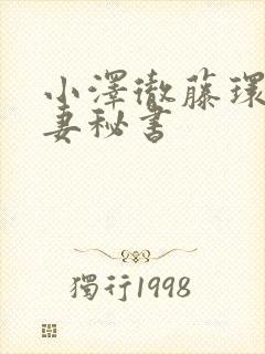 小泽彻藤环奈人妻秘书