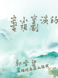 宋小宝演的全部电视剧