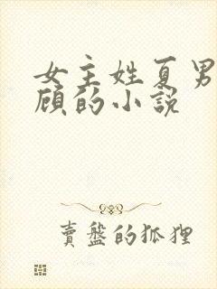 女主姓夏男主姓顾的小说