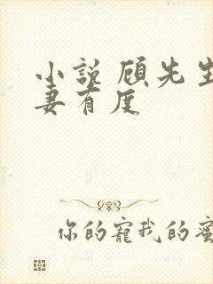 小说 顾先生宠妻有度