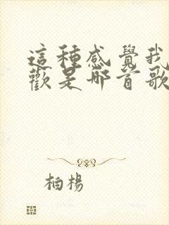 这种感觉我很喜欢是哪首歌的歌词