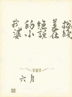 我的绝美总裁老婆小说在线阅读