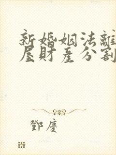 新婚姻法离婚房屋财产分割