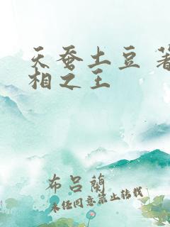 天蚕土豆 著万相之王