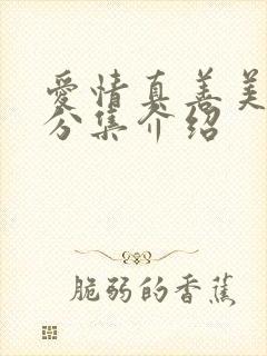 爱情真善美剧情分集介绍