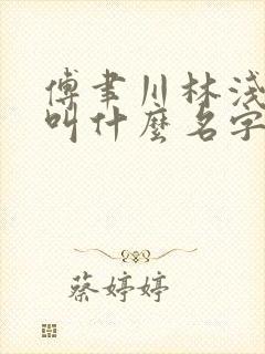 傅聿川林浅小说叫什么名字