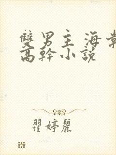 双男主 海棠 高干小说