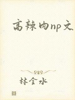 高辣肉np文