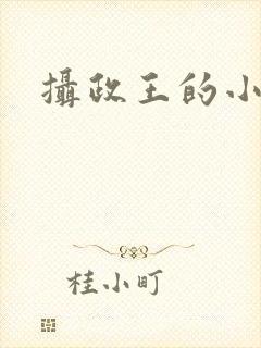 摄政王的小医妃