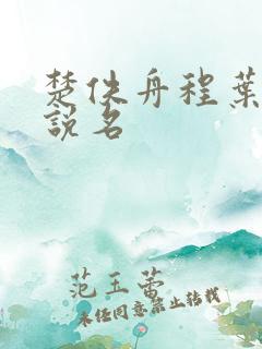 楚佚舟程叶轻小说名