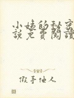 小姨的秘密的小说免费阅读