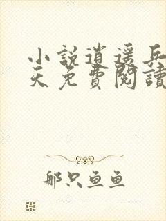 小说逍遥兵王洛天免费阅读