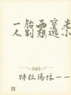 一胎两宝老婆大人别想逃小说