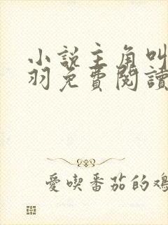 小说主角叫周轻羽免费阅读