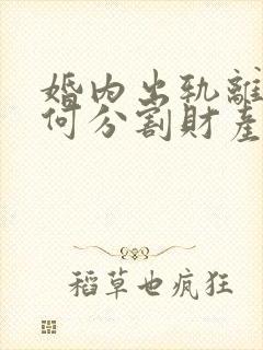 婚内出轨离婚如何分割财产