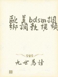 欧美bdsm捆绑调教视频
