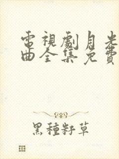 电视剧月光变奏曲全集免费观看