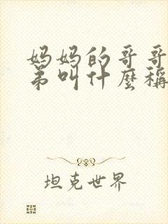 妈妈的哥哥和弟弟叫什么称呼