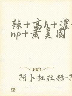 辣+高h+浓+np+黄美国