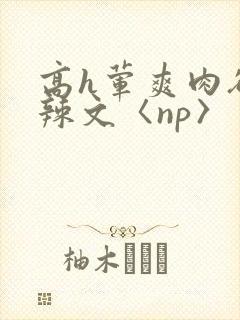 高h荤爽肉欲文辣文〈np〉