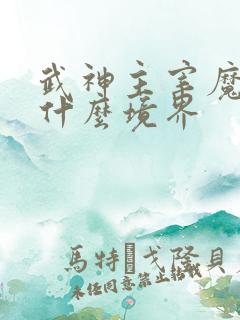 武神主宰魔主是什么境界