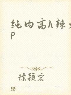 纯肉高h辣文np