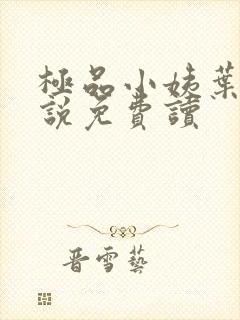 极品小姨叶凡小说免费读