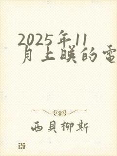 2025年11月上映的电影有哪些