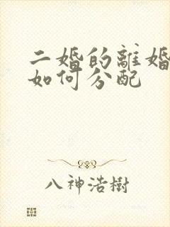 二婚的离婚财产如何分配