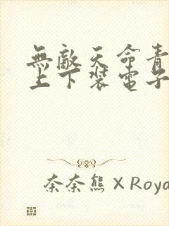 无敌天命青鸾峰上下装电子书