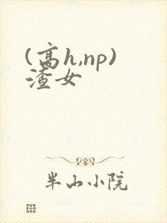 (高h,np)渣女
