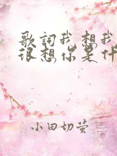 歌词我想我此刻很想你是什么歌