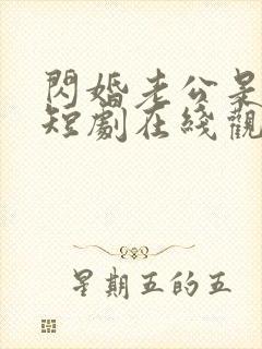 闪婚老公是总裁短剧在线观看