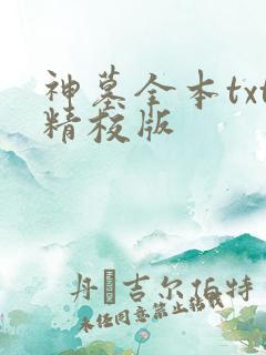 神墓全本txt精校版