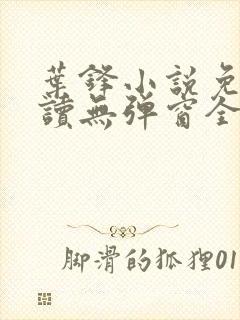 叶锋小说免费阅读无弹窗全文