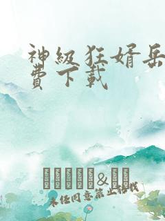 神级狂婿岳风免费下载