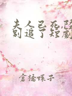 夫人已死,陆总别追了短剧全集