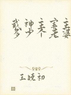 武神主宰主角有多少个老婆