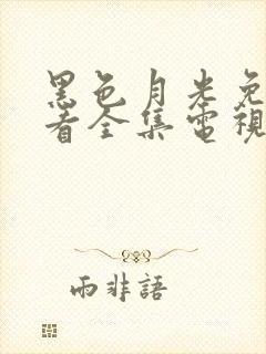 黑色月光免费观看全集电视剧