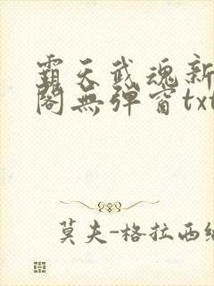 霸天武魂新笔趣阁无弹窗txt