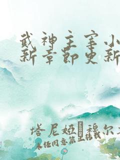 武神主宰小说最新章节更新