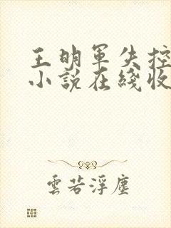 王明军失控有声小说在线收听