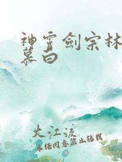 神霄剑宗林枫苏慕白