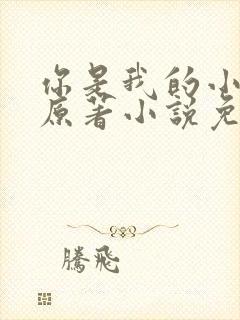 你是我的小确幸原著小说免费阅读