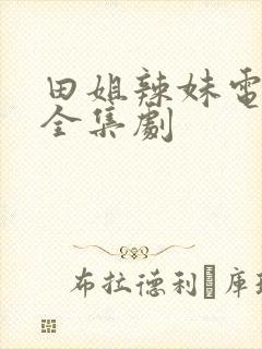 田姐辣妹电视剧全集剧