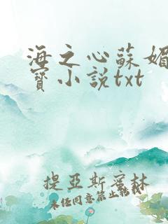海之心苏媚赵大宝小说txt