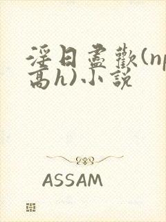 淫日尽欢(np高h)小说